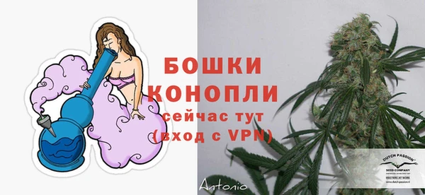 гашиш Богданович
